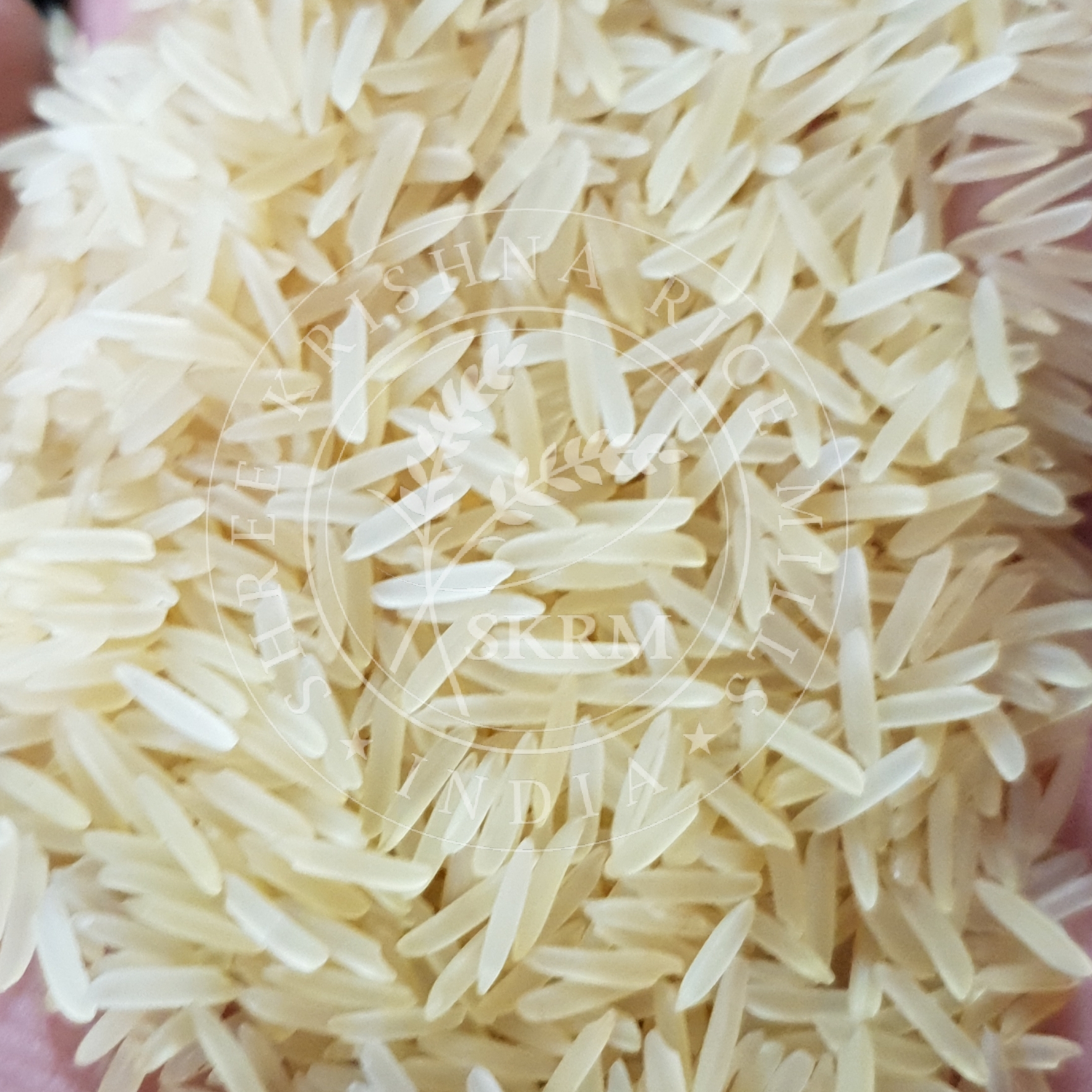 White Pusa Golden Sella Basmati Rice