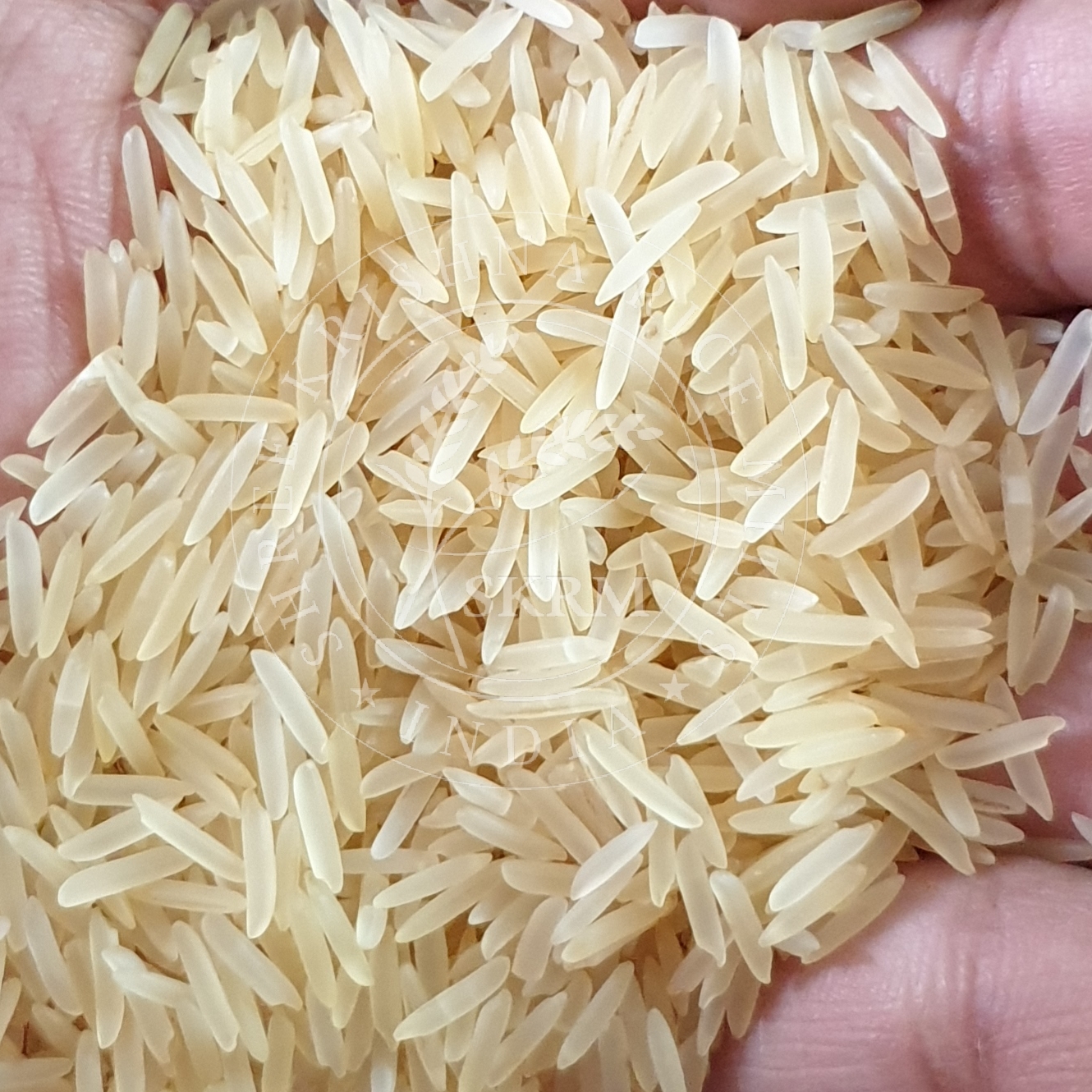 White Pusa Golden Sella Basmati Rice