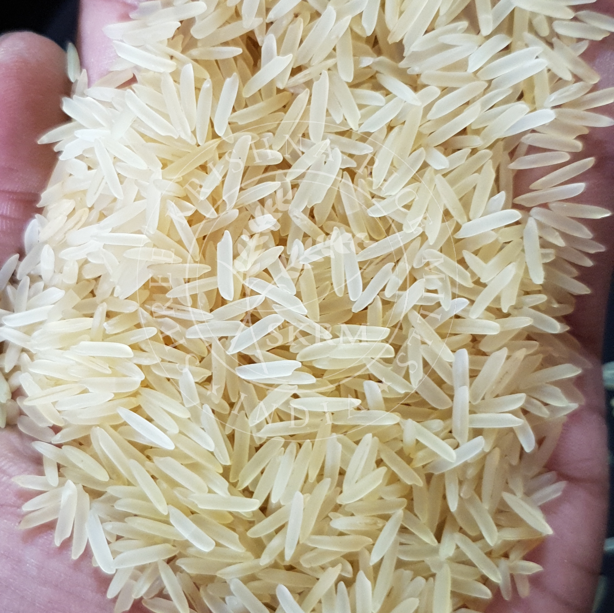 White Pusa Golden Sella Basmati Rice