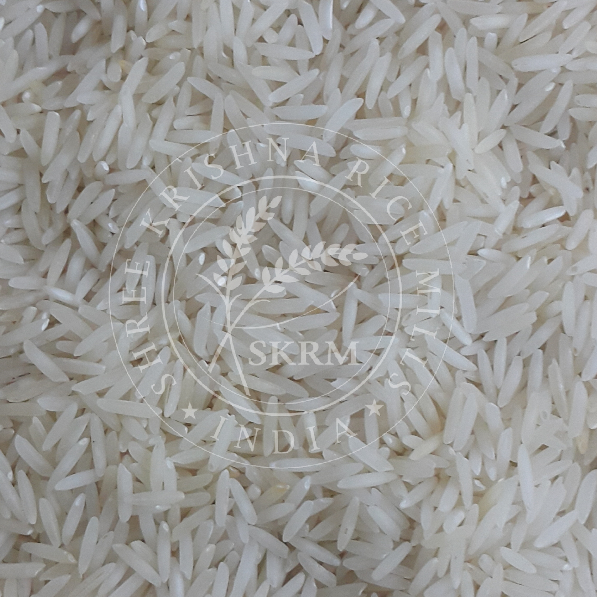 White Traditional Raw Basmati Rice