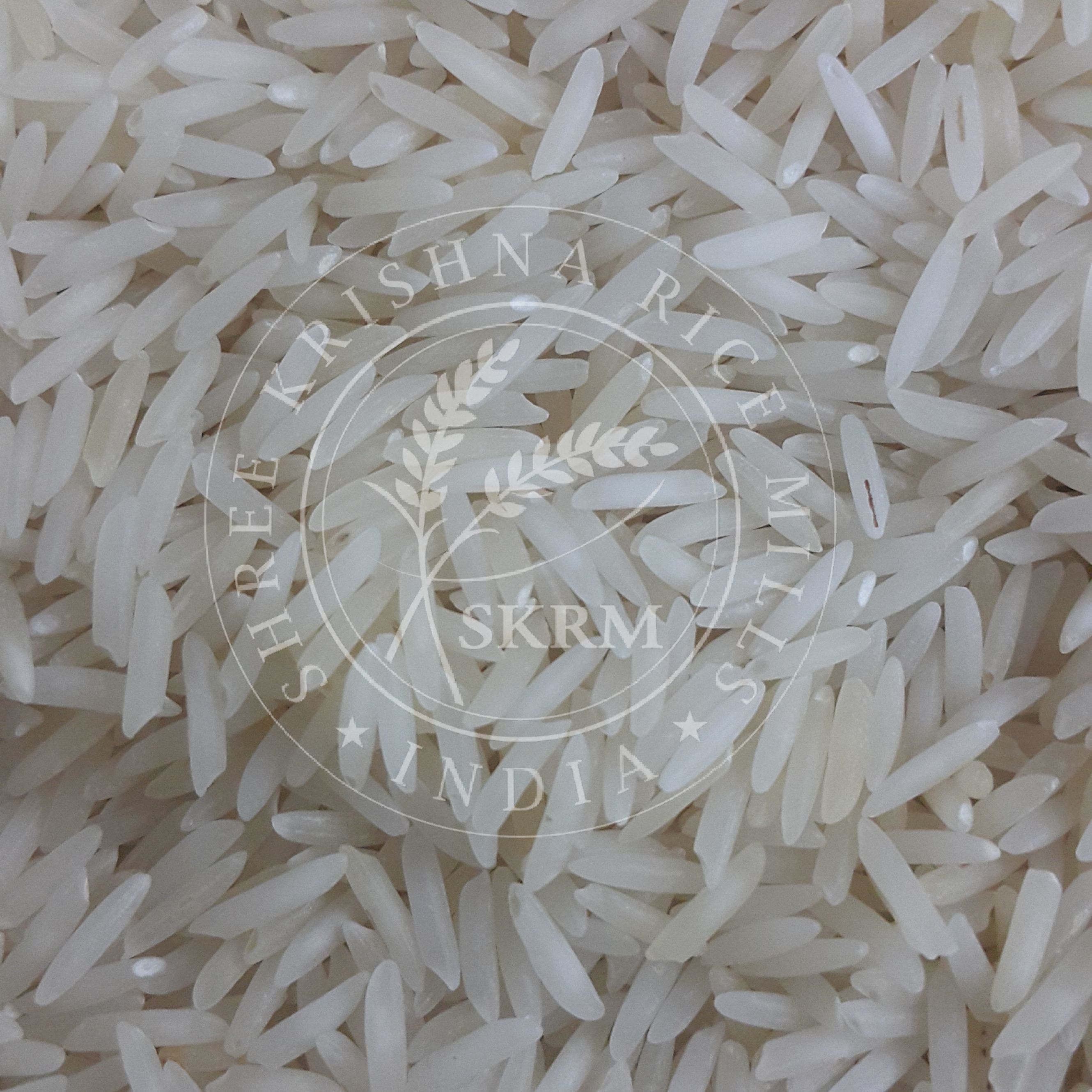 White Traditional Raw Basmati Rice