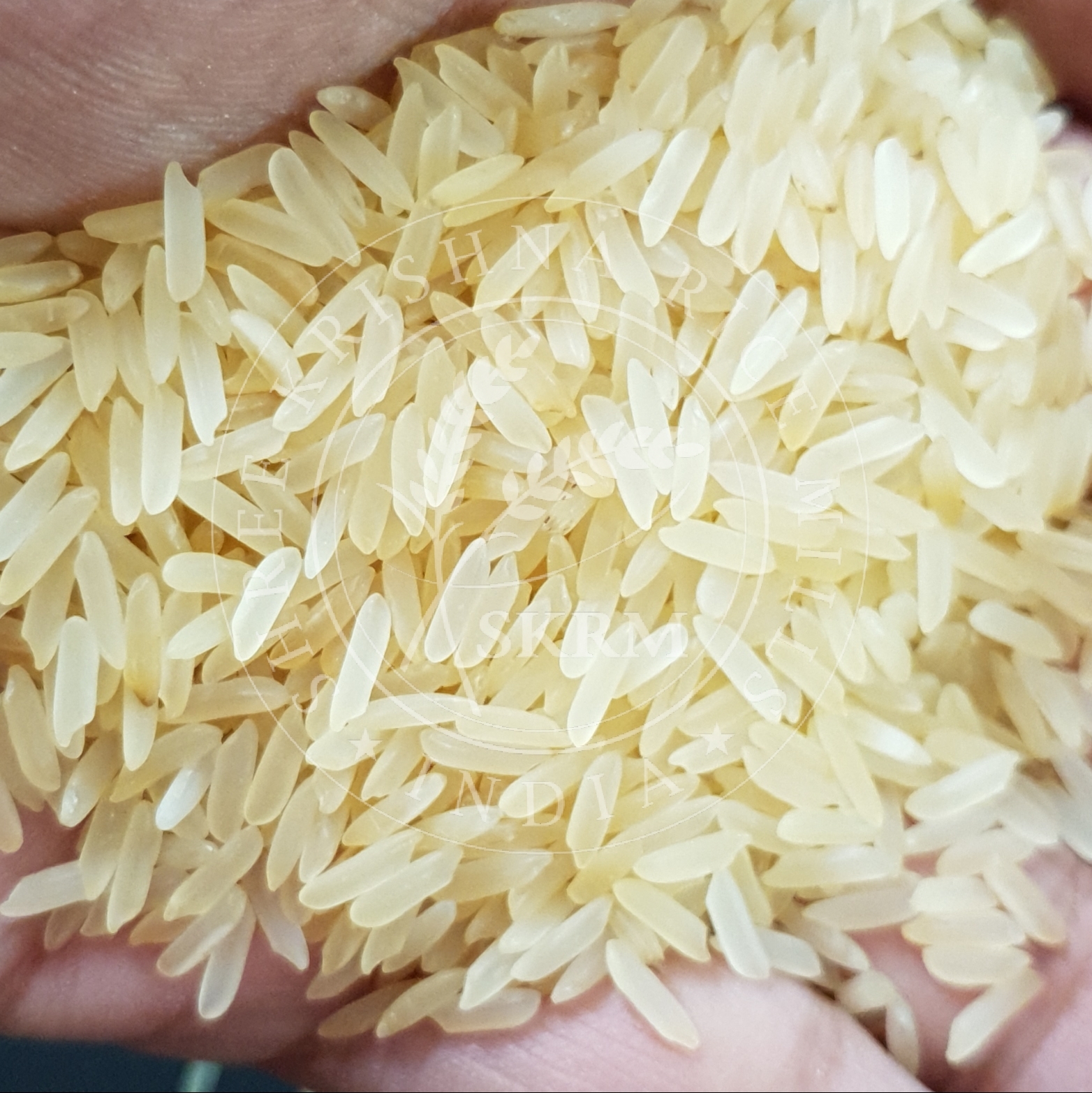 White Pr11 Golden Sella Non Basmati Rice