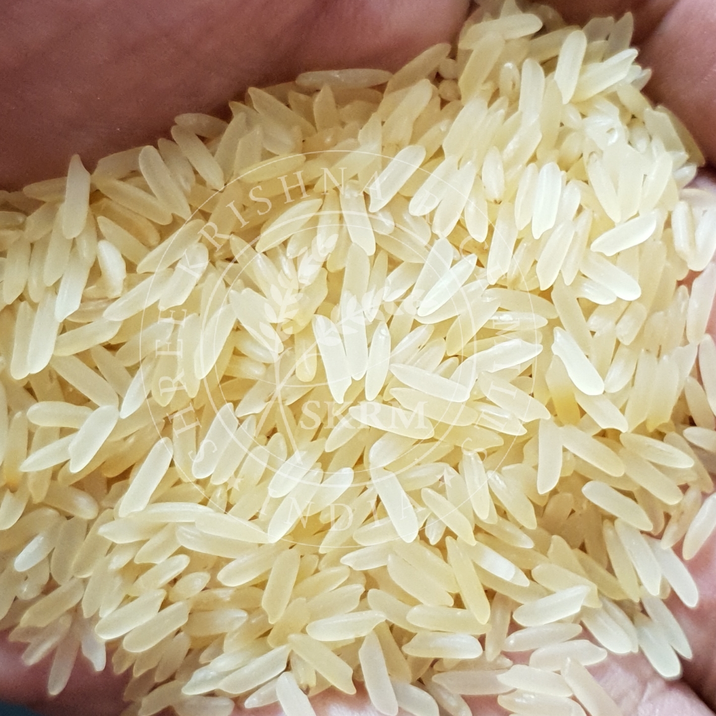 White Pr11 Golden Sella Non Basmati Rice
