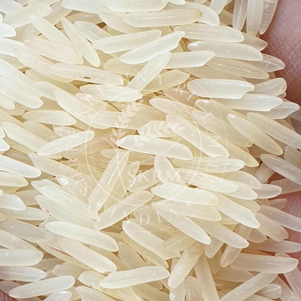 Sugandha Sella Basmati Rice - 95.00% Purity, 7.90 Mm Average Grain Length, 12.5% Moisture Content, White Color, No Foreign Matter, Packaged In Jute/pp/non-woven Bags