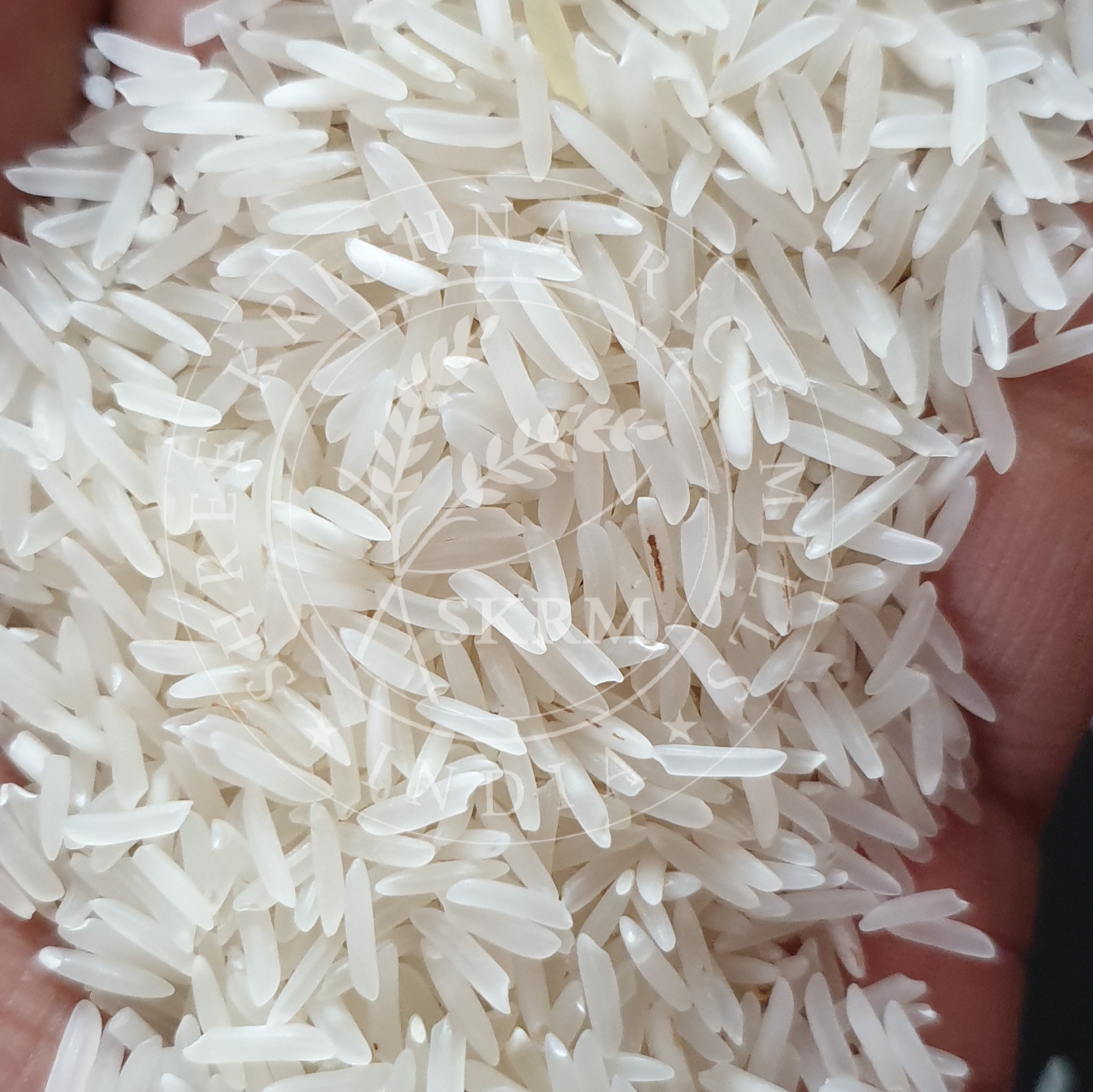 White Sugandha Raw Basmati Rice