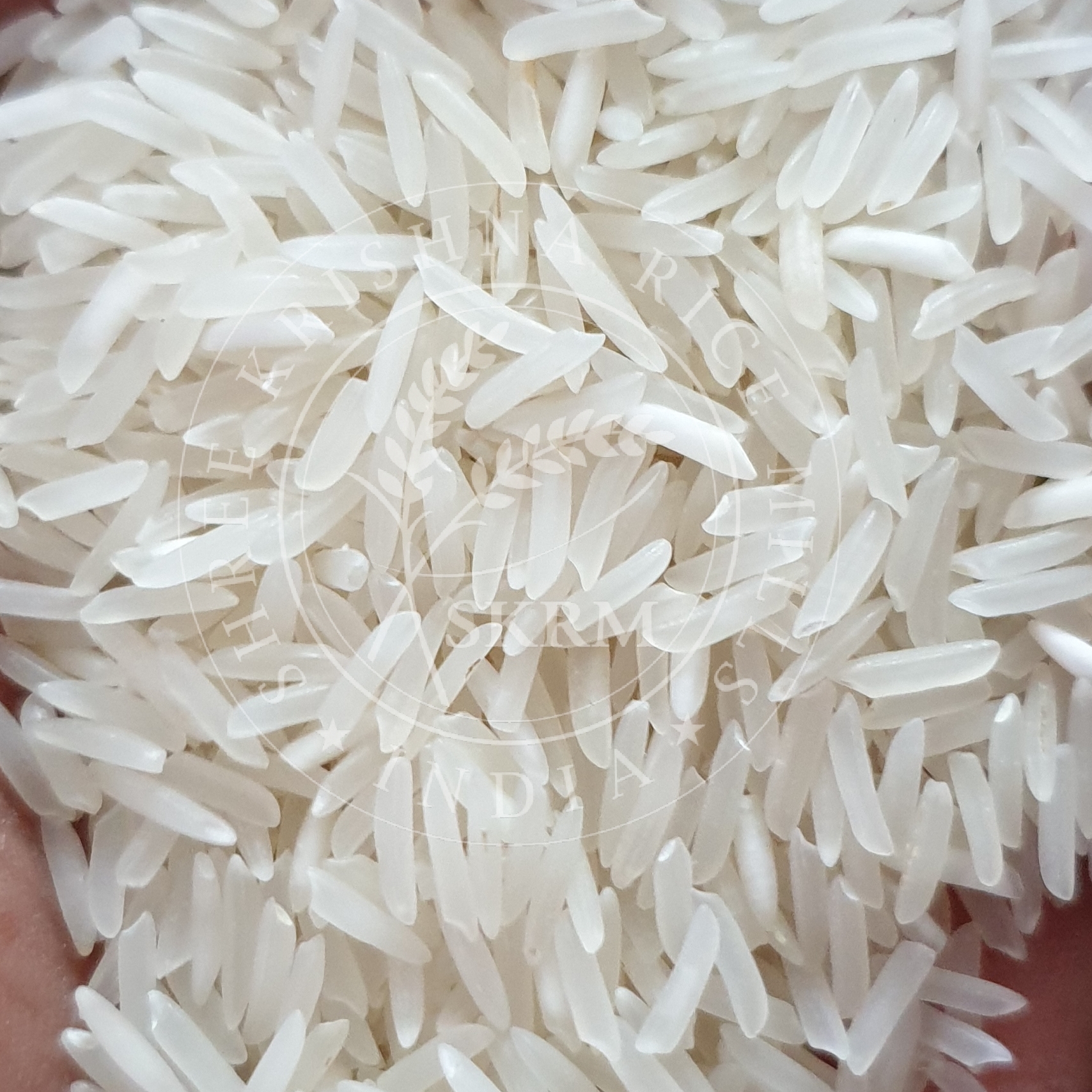 White Sugandha Raw Basmati Rice