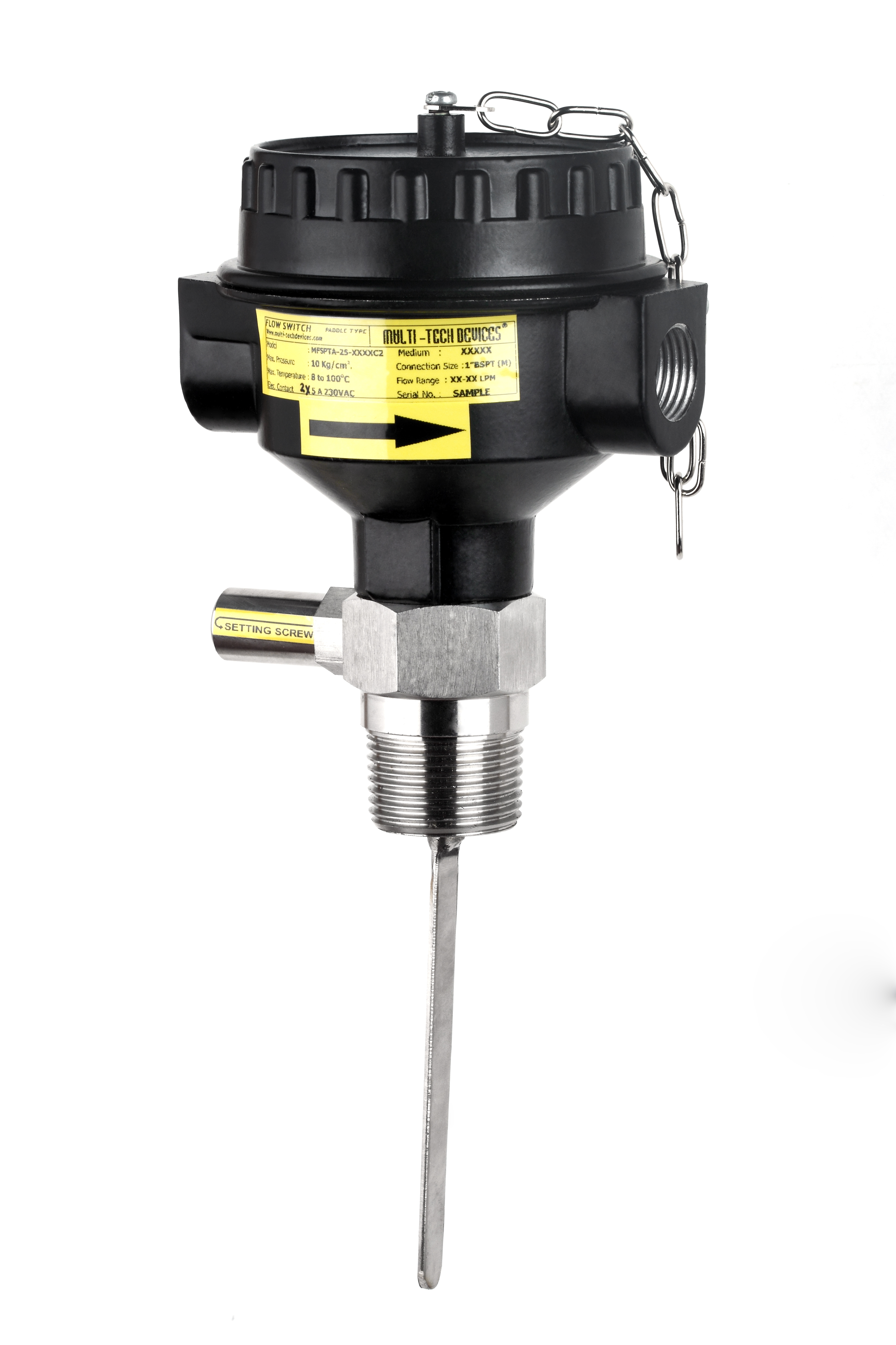 Paddle Type Flow Switch