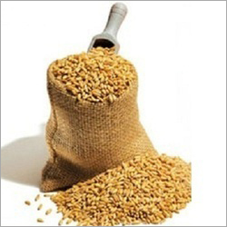 White Wheat Flour Grade: Food Grade