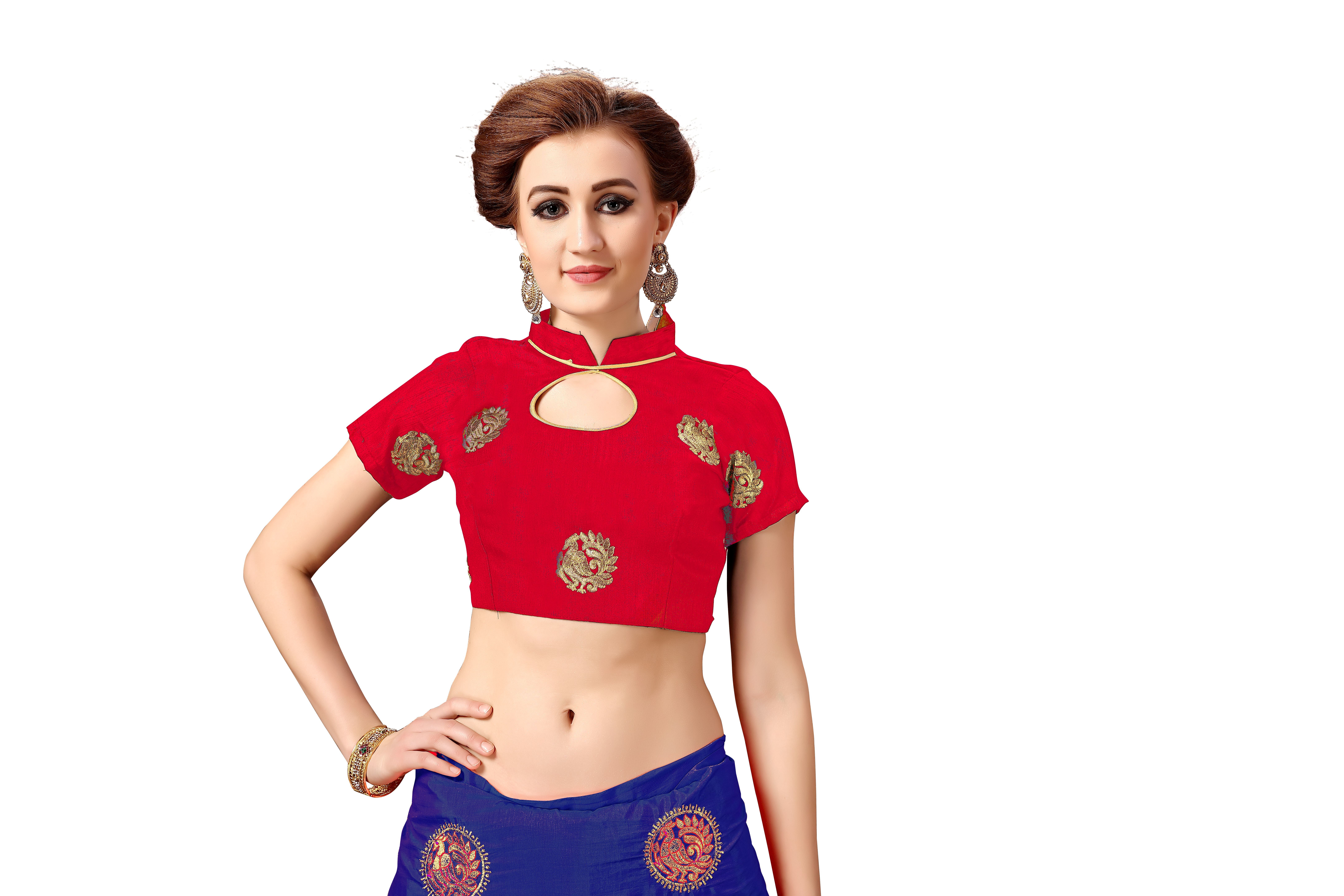 Silk Embroidery Saree - 5.50 Mtr Length, Blue Dupion Blouse With Tassel Pallu | Festive Occasion, Resham Peacock Butta Design, Bollywood Style