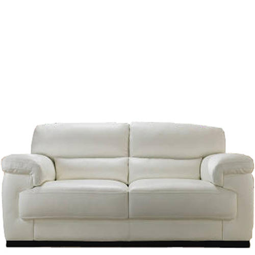 टू सीटर कुशन लेदर सोफा