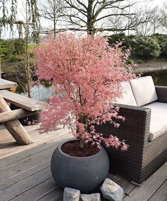 Multi Color Round Flower Pot