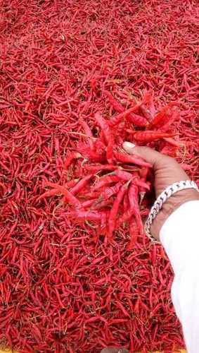 लाल मिर्च
