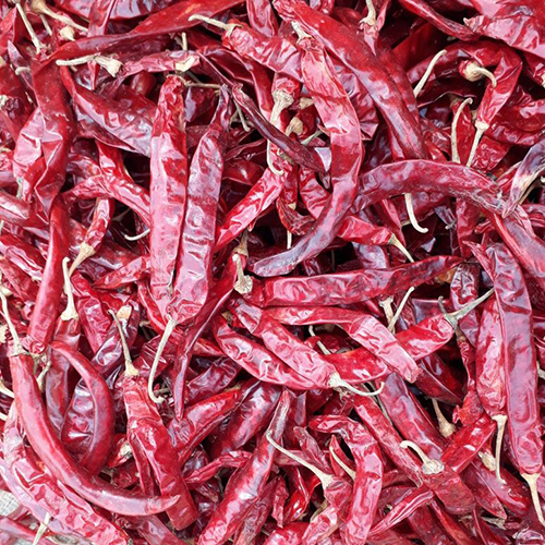 Red Wonderhot Stem Chilli