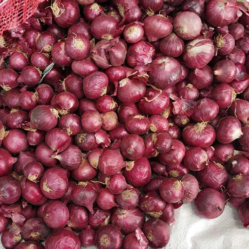 गोल बंगलौर रोज प्याज