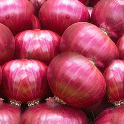 Round Nashik Onion