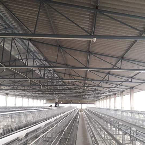 पोल्ट्री फार्म लेयर कैज