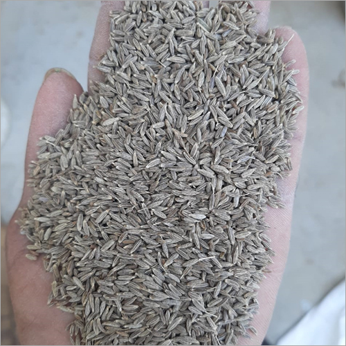 Cumin Seeds