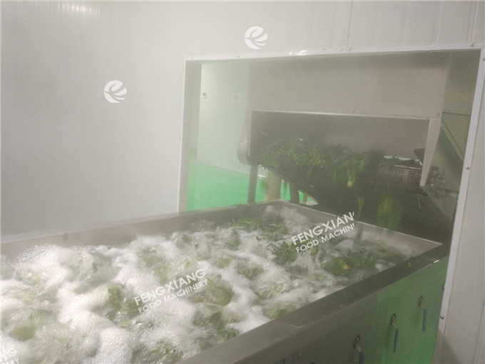 Pt-2000 Blanching Machine - Stainless Steel, 3600 X 1000 X 1300 Mm | Automatic, High Efficiency, Easy Cleaning System, 500-1500 Kg/hr Capacity, One Year Guarantee