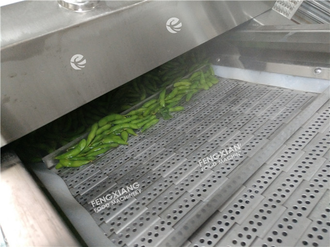 Pt-2000 Blanching Machine - Stainless Steel, 3600 X 1000 X 1300 Mm | Automatic, High Efficiency, Easy Cleaning System, 500-1500 Kg/hr Capacity, One Year Guarantee