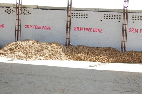 Srm Free Raw Bone