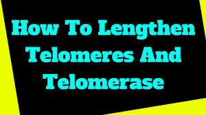 Telomere Diagnose And Repair