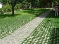 Grass Paver Block