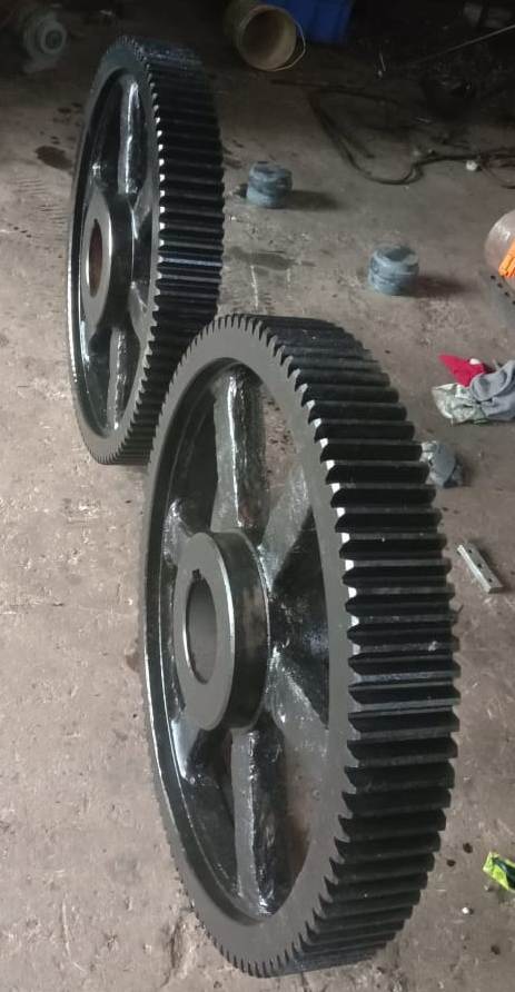Black Spur Gear