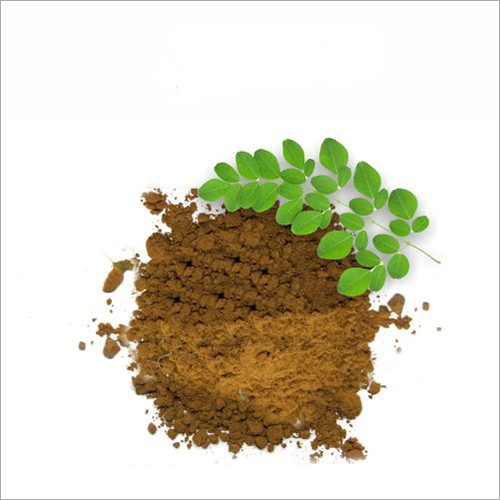 Moringa Extract Powder Dry  Place