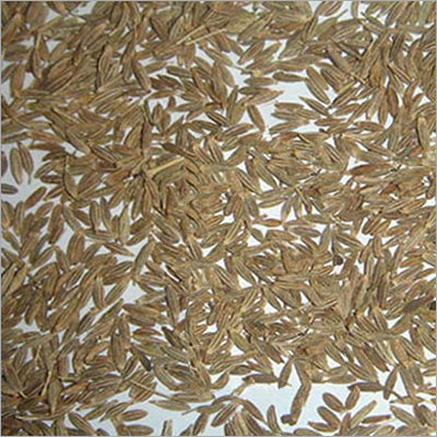 Cumin Seed Age Group: For Adults