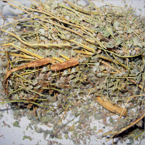 Convolvulus Pluricaulis Extract Age Group: For Adults