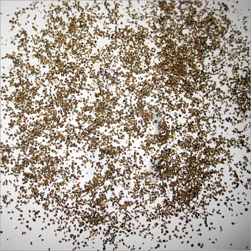 Celery Seed - VOC Assay 10%-20% | Herbal Medicine for Adults and Children, Flavoring, Aphrodisiac, Kidney Support, 6-Month Shelf Life, Store in Dry Place