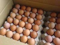 ताजा चिकन अंडे (भूरा/सफेद)