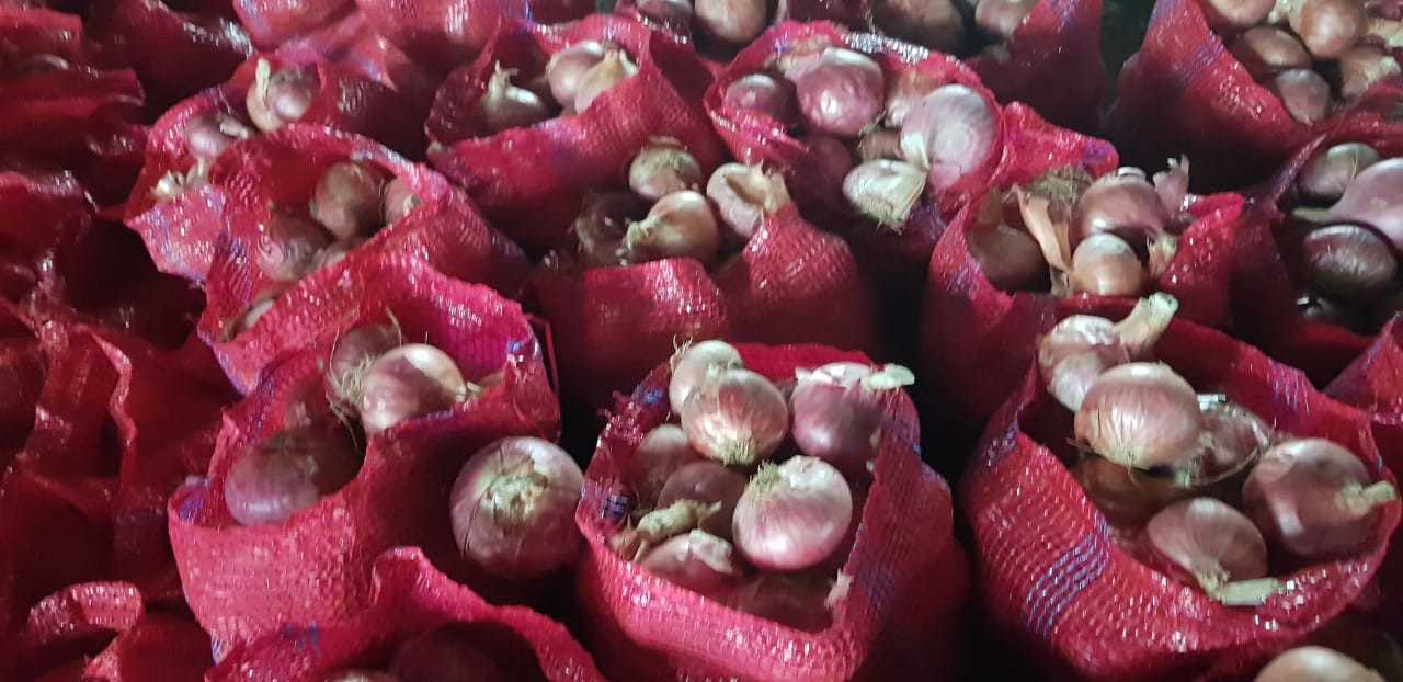 Big Red Onion Shelf Life: 2 To 3 Months