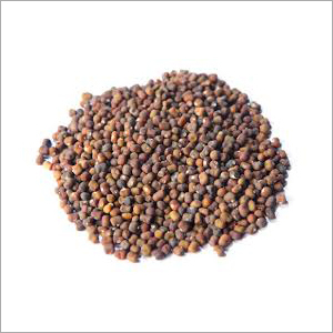 ब्राउन पीजे सीड