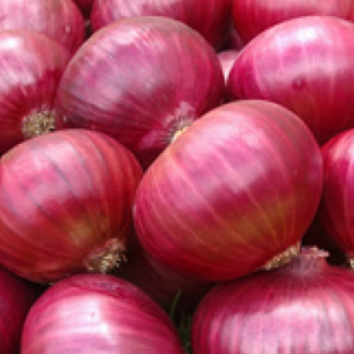 Onion