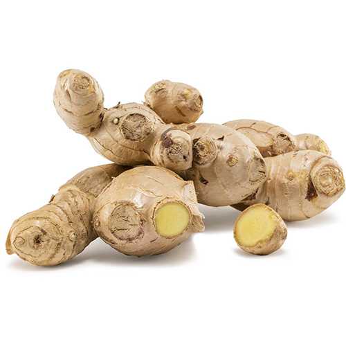 Ginger - 5-15cm, Beige | Aromatic Spice, Culinary Ingredient, Flavor Enhancer, Fresh Flavor, Health Benefits