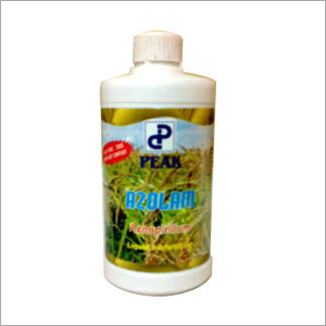 Azospirillum Biofertilizer