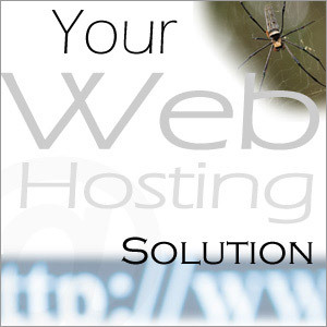 वेब होस्टिंग