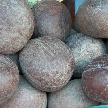 कोप्रा