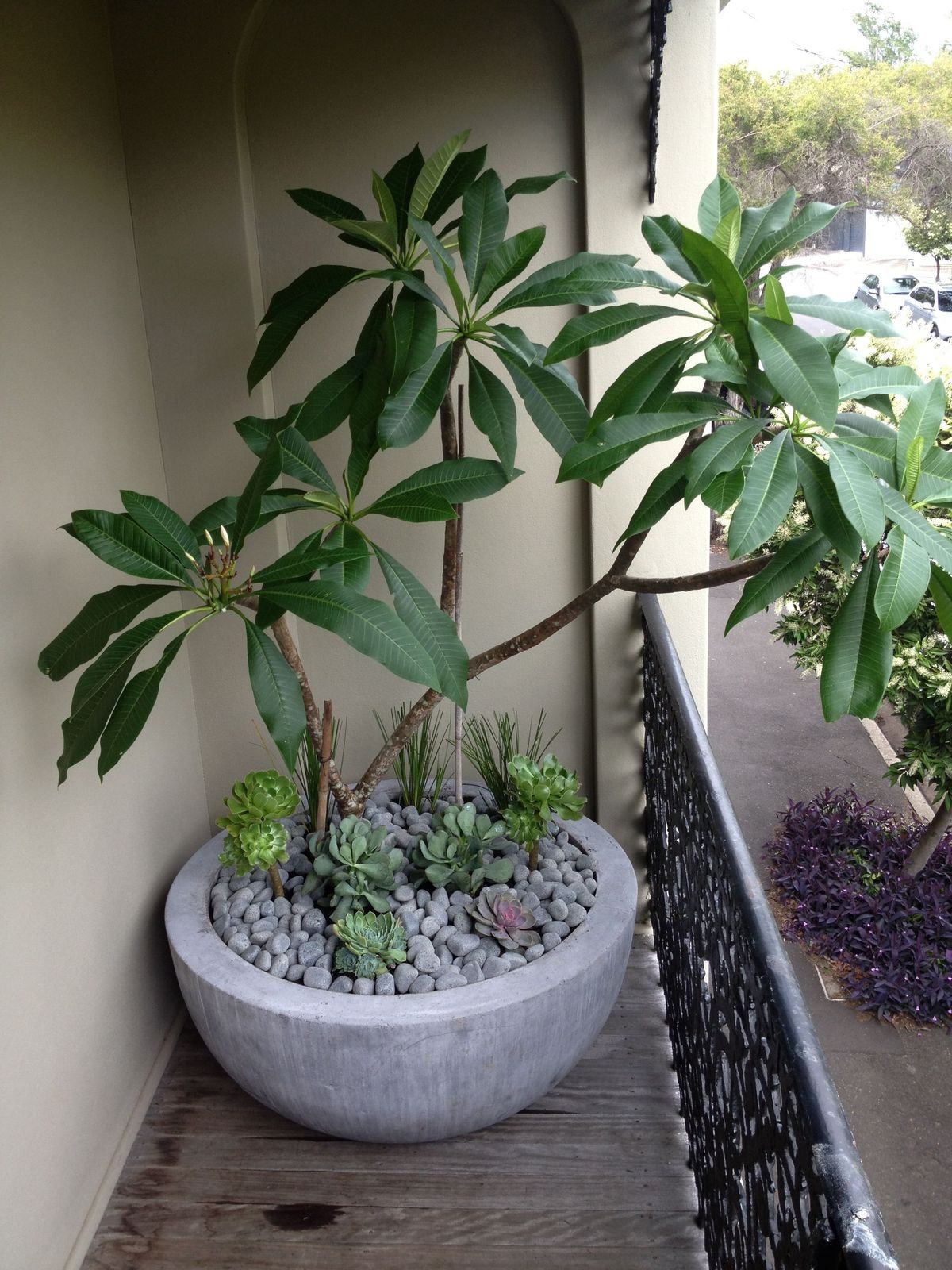 Multi Colour Flower Pot