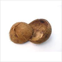 Coconut Shell