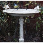 Iron Bird Bath Antique Cream Finish