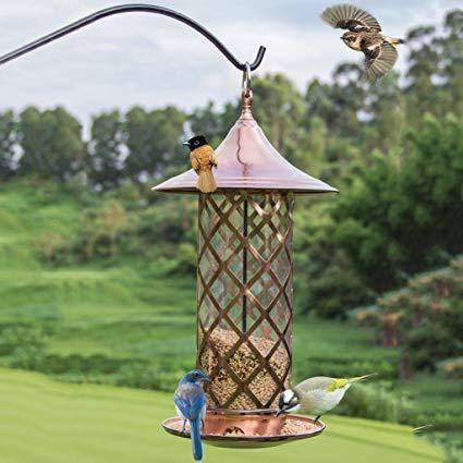 Red Cardinal Bird Feeder