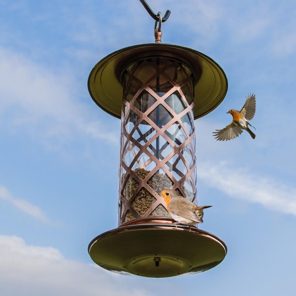 Red Cardinal Bird Feeder