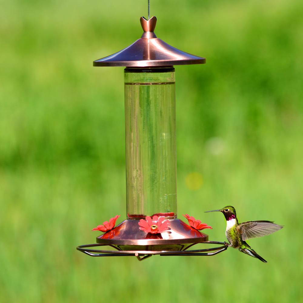 Bird Feeder