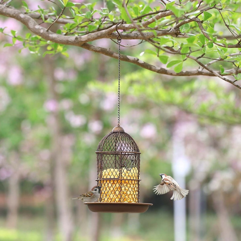 Cast Iron Bird Feeder