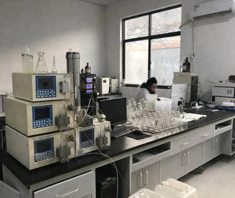 Lapatinib/lapatinib Ditosylate