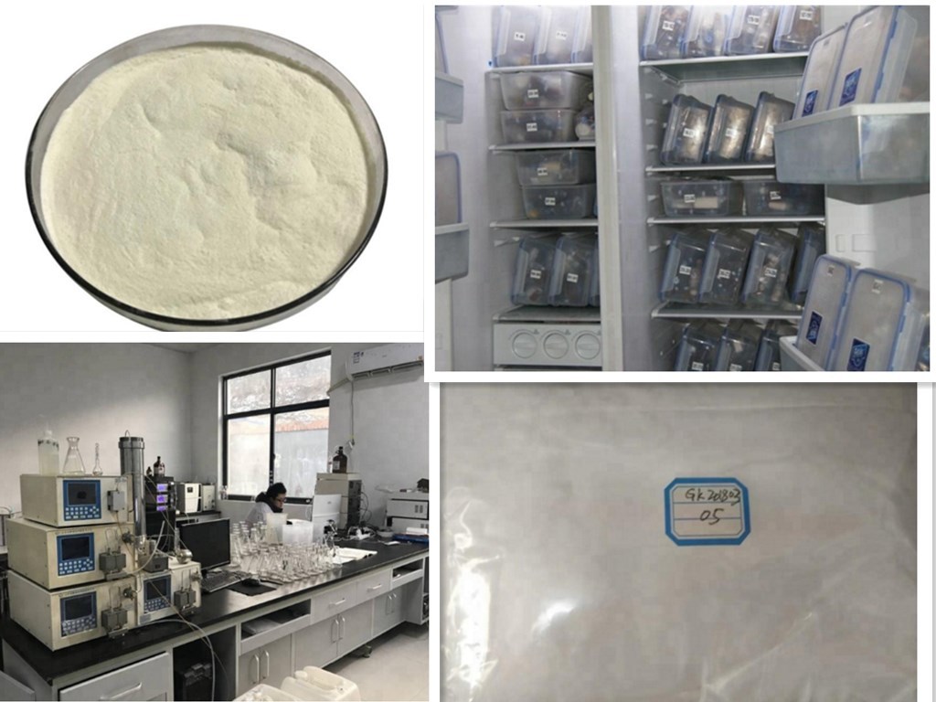 Lapatinib/lapatinib Ditosylate