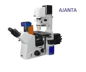 Steel Advanced Research Inverted Tissue Culture Microscope