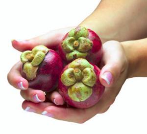 Mangosteen Powdered Extract (Indfrag Ltd.))